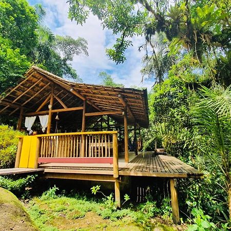 Eco Chales Caminho Das Aguas Barra Grande  المظهر الخارجي الصورة