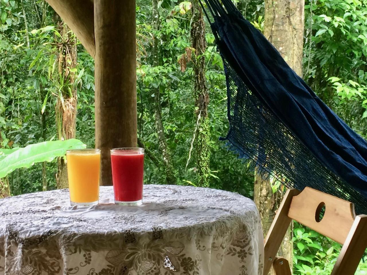 Eco Chales Caminho Das Aguas Barra Grande  المظهر الخارجي الصورة
