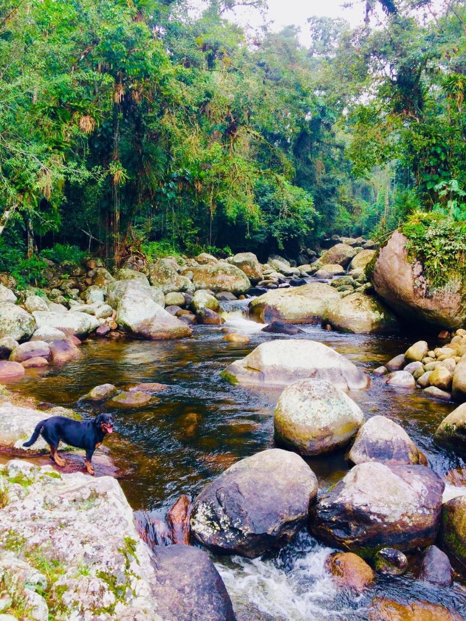 Eco Chales Caminho Das Aguas Barra Grande  المظهر الخارجي الصورة